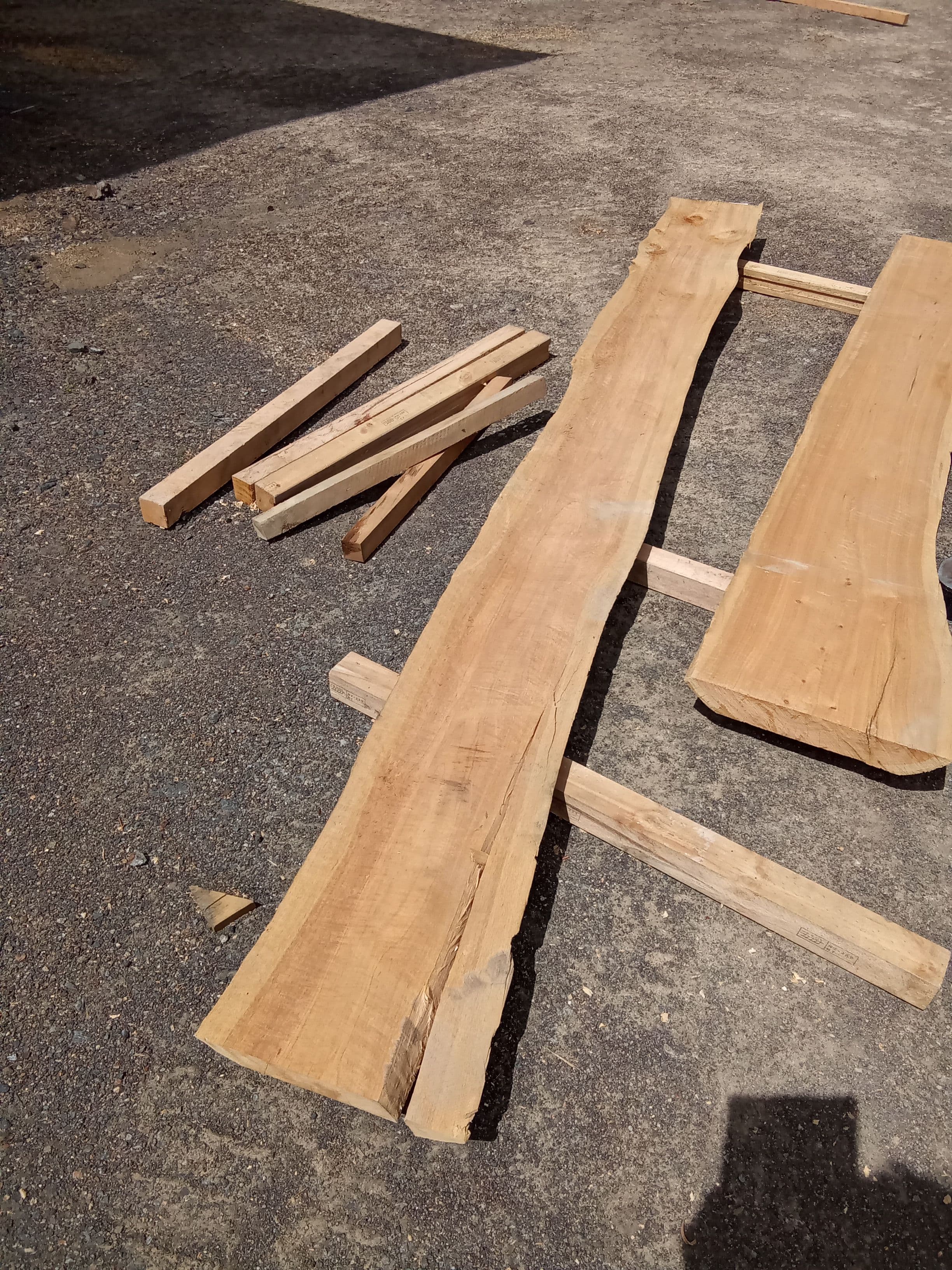 Macrocarpa Slab #42 view 1