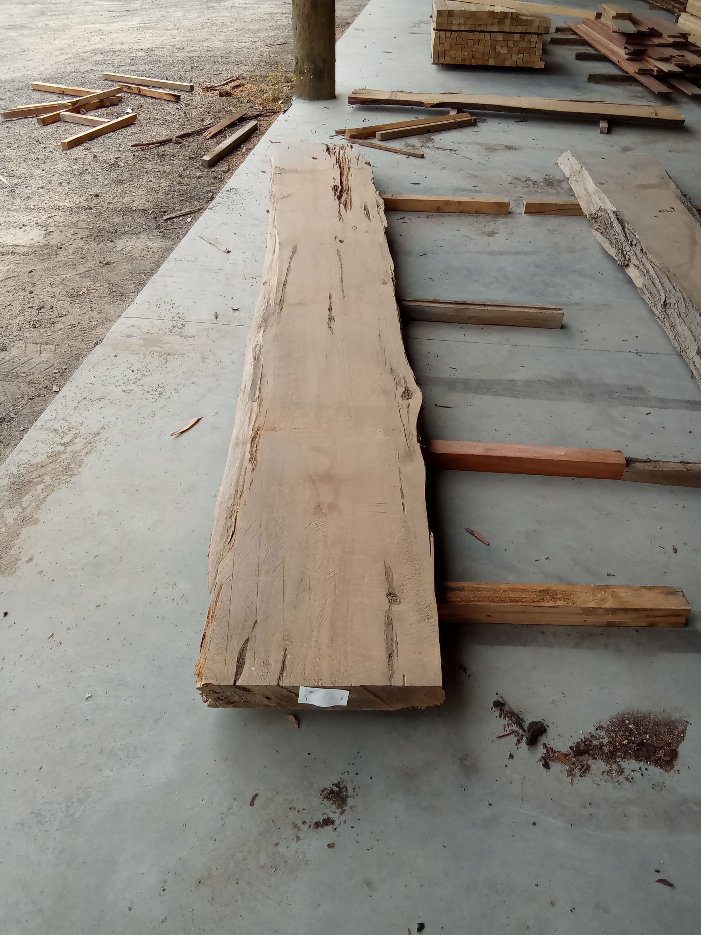 Macrocarpa Slab #25 view 2