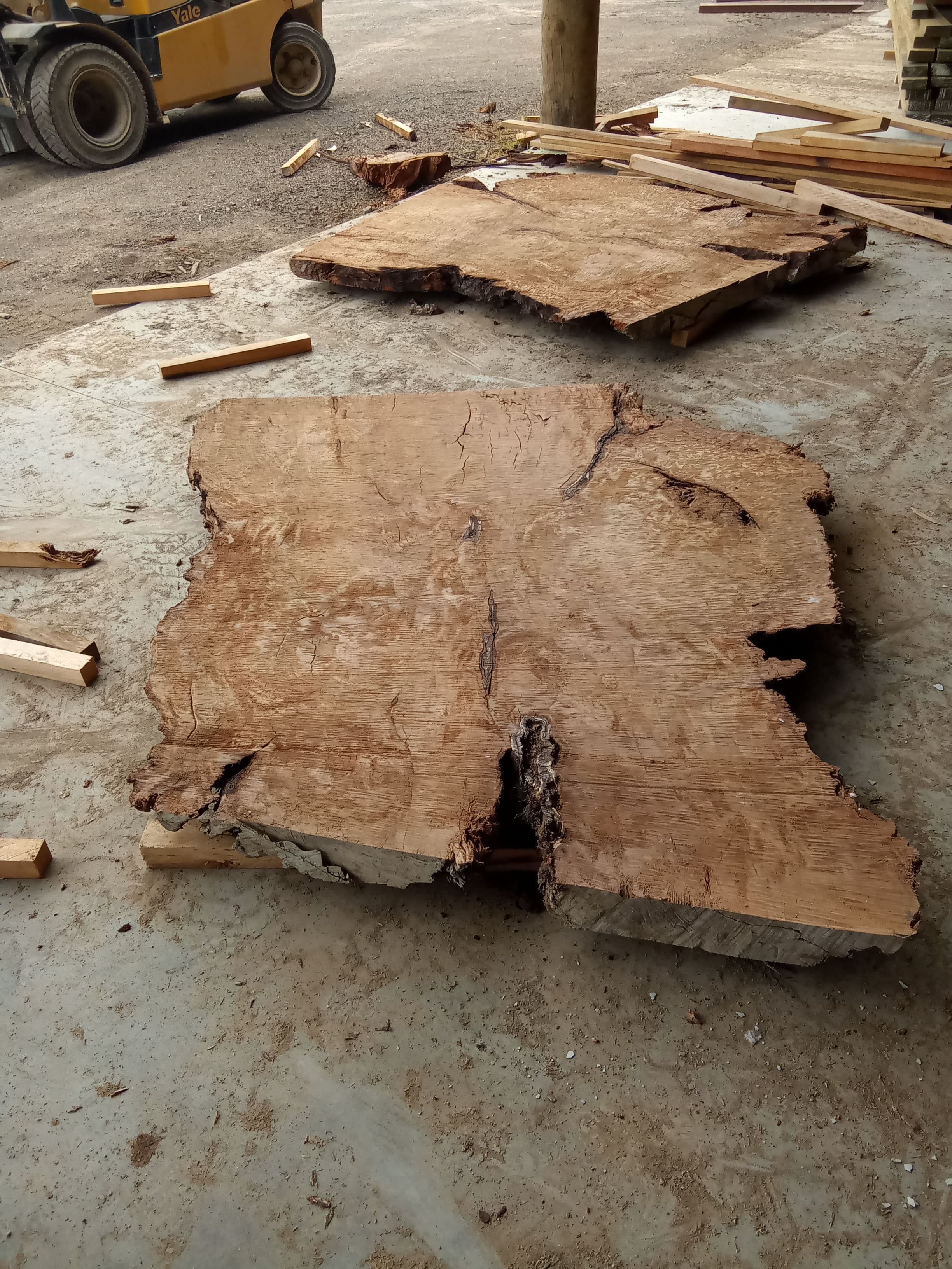 Kauri Slab #24 view 2