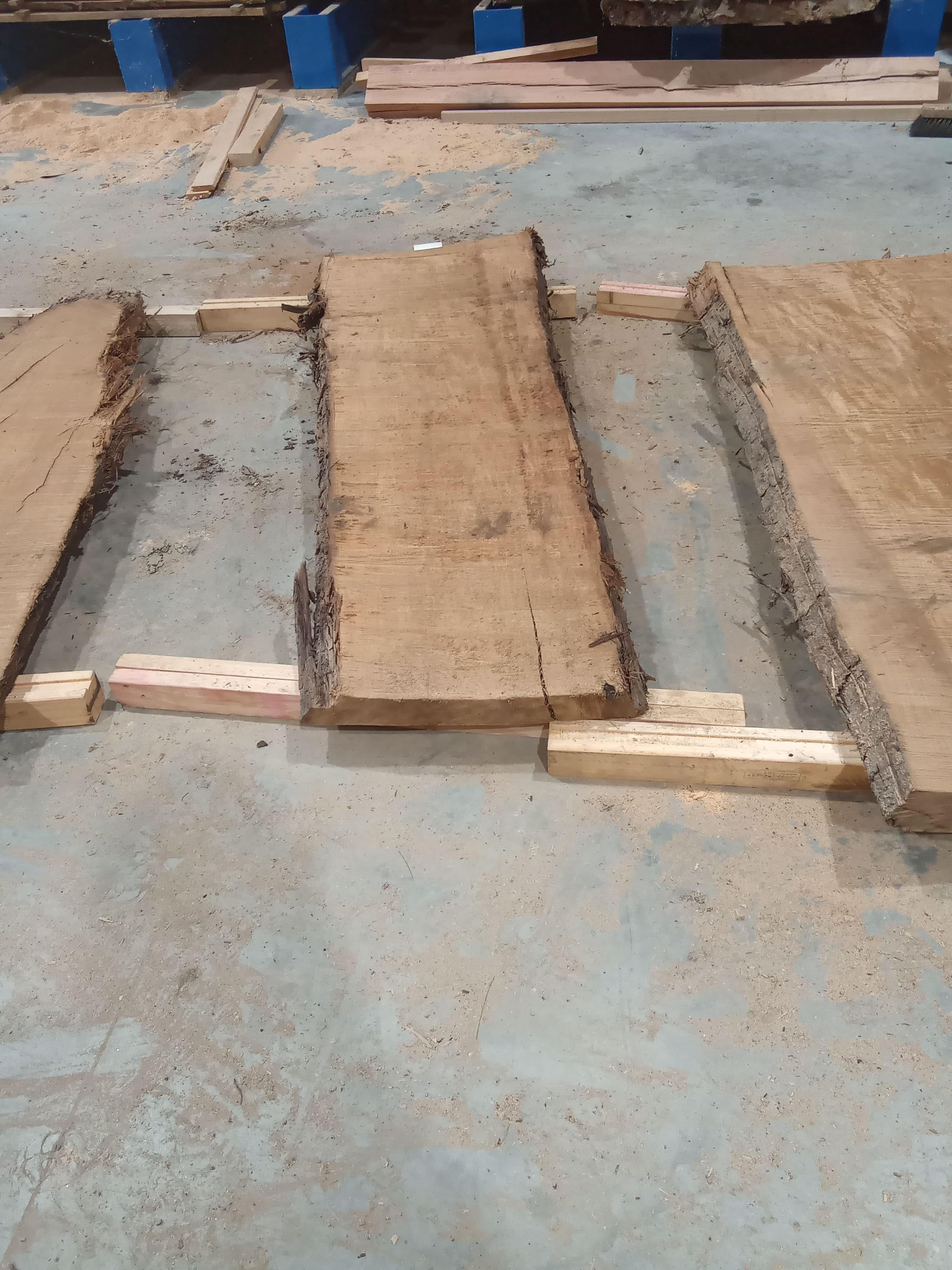 Kauri Slab #32 view 2