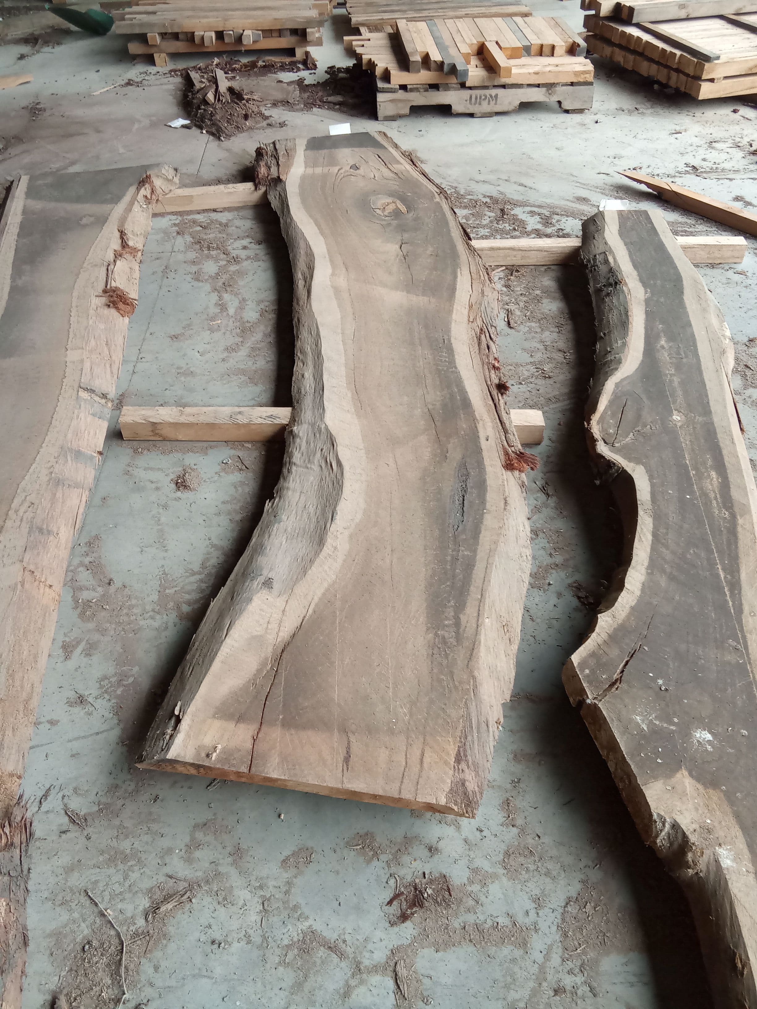 Blackbutt Eucalyptus Slab #18