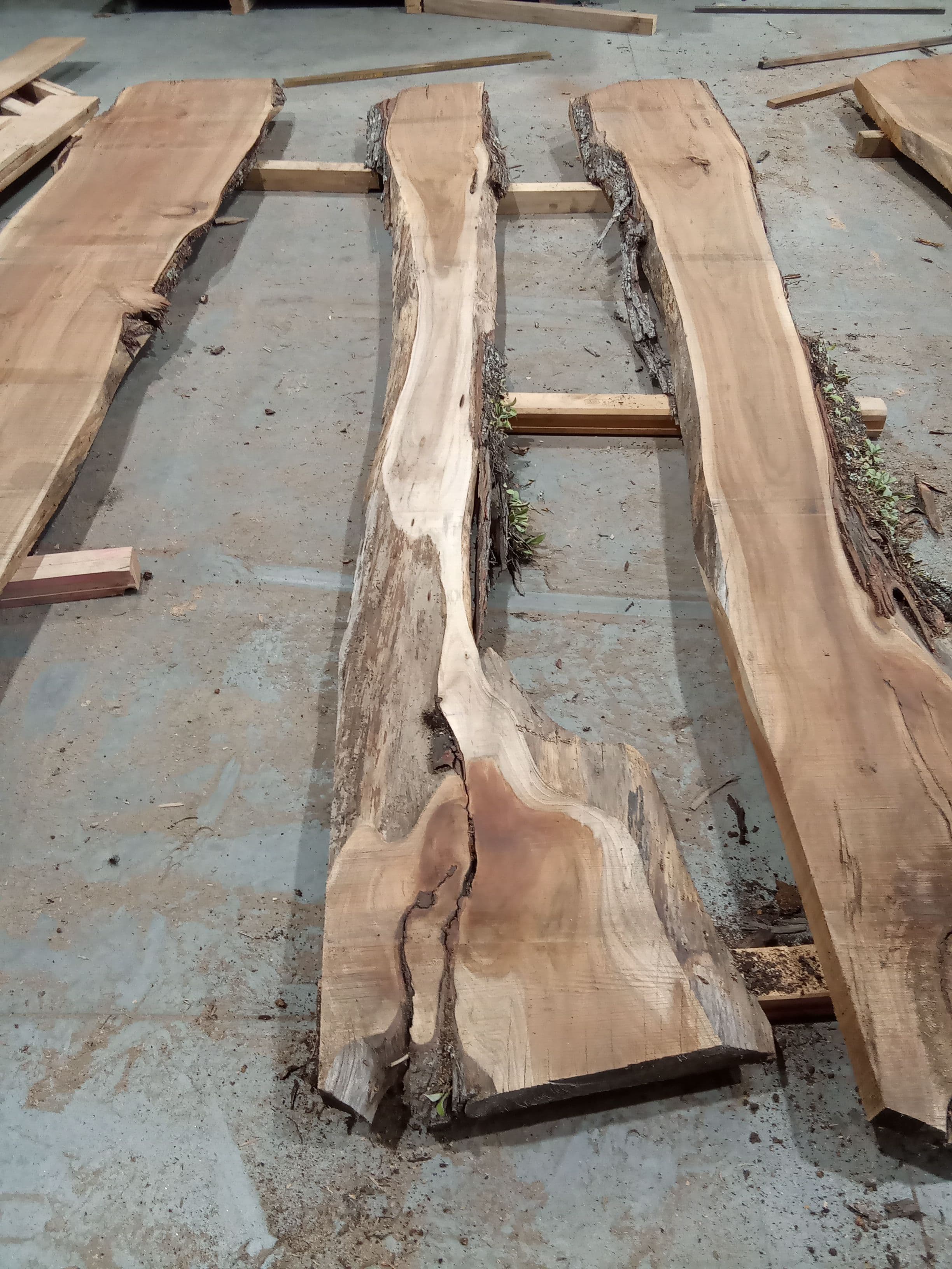 Blackwood Slab #1